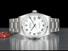 Rolex Datejust 36 Bianco Oyster White Milk Roman  Watch  16200 